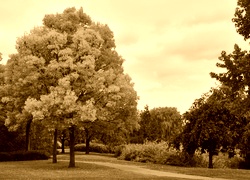 Sepia
