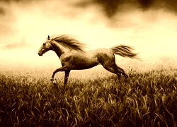 Sepia
