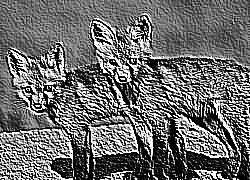 Skamielina