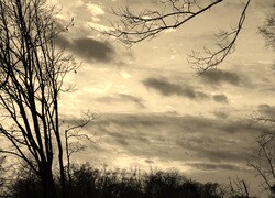 Szary + Sepia