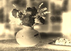 Sepia + Negatyw