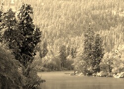 Sepia