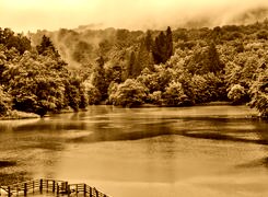 Sepia