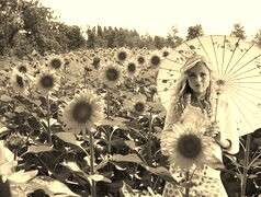 Szary + Sepia