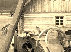Szary + Sepia