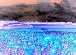 Negatyw