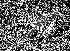 Skamielina