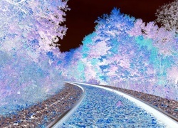 Negatyw