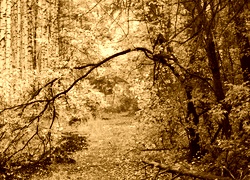 Sepia