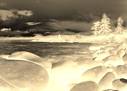Sepia + Negatyw