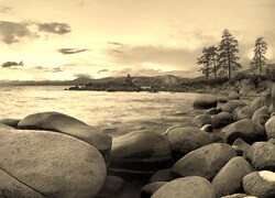 Szary + Sepia
