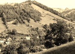 Szary + Sepia