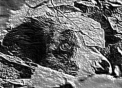 Skamielina