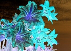Negatyw