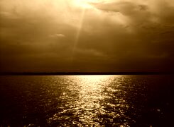 Sepia