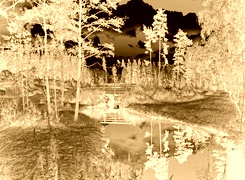 Sepia + Negatyw