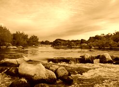 Sepia