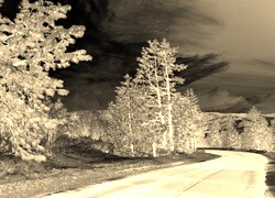 Sepia + Negatyw