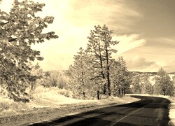 Szary + Sepia