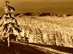 Sepia + Negatyw