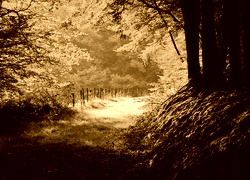 Sepia
