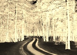 Sepia + Negatyw