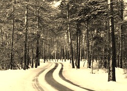 Szary + Sepia