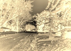 Sepia + Negatyw