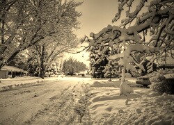 Sepia