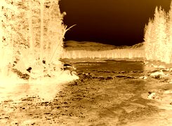 Sepia + Negatyw