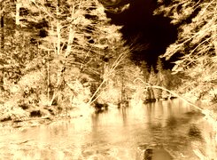 Sepia + Negatyw