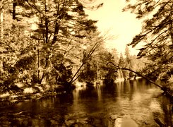 Sepia