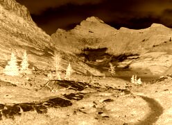 Sepia + Negatyw
