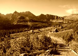 Sepia