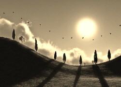 Szary + Sepia