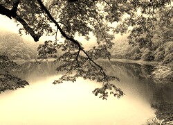 Szary + Sepia