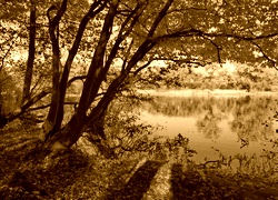 Sepia
