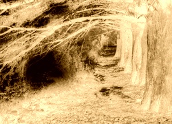 Sepia + Negatyw