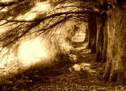 Sepia