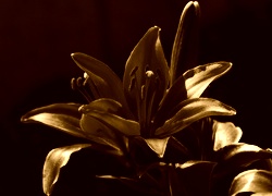 Sepia