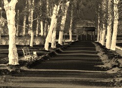 Sepia + Negatyw