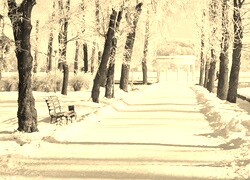 Szary + Sepia