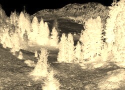 Sepia + Negatyw