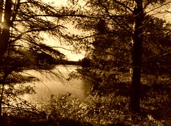 Sepia