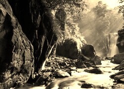 Szary + Sepia