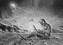 Skamielina