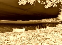 Sepia + Negatyw