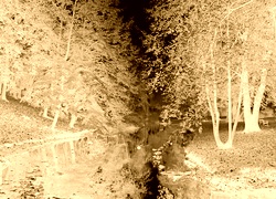 Sepia + Negatyw