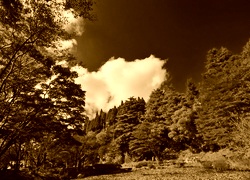 Sepia
