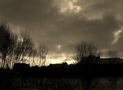 Szary + Sepia